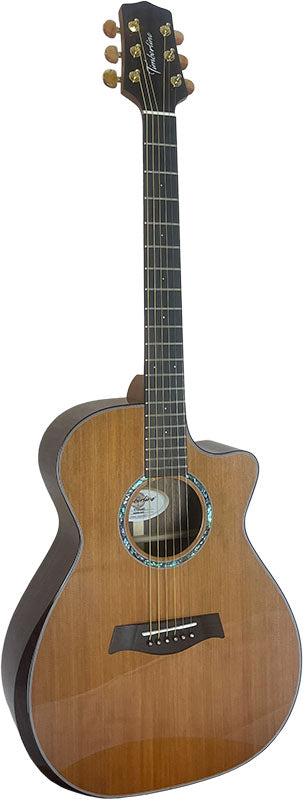 T75GAc Solid Silkwood Grand Auditorium with Ebony Arm Bevel and Red Cedar Top
