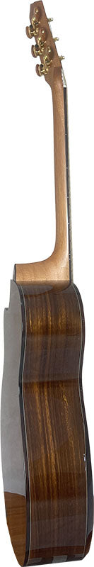 T75GAc Solid Silkwood Grand Auditorium with Ebony Arm Bevel and Red Cedar Top