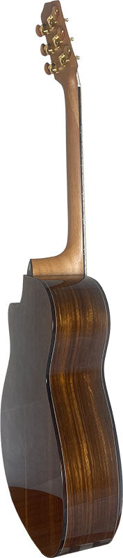 T75GAc Solid Silkwood Grand Auditorium with Ebony Arm Bevel and Red Cedar Top