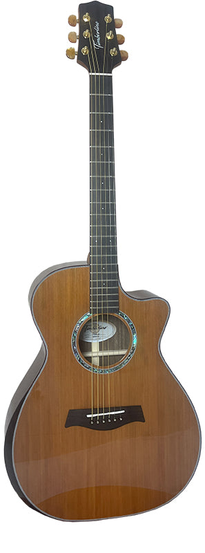 T75GAc Solid Silkwood Grand Auditorium with Ebony Arm Bevel and Red Cedar Top