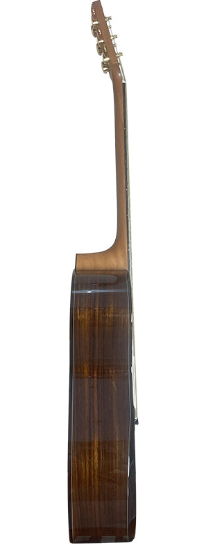 T75GAc Solid Silkwood Grand Auditorium with Ebony Arm Bevel and Red Cedar Top