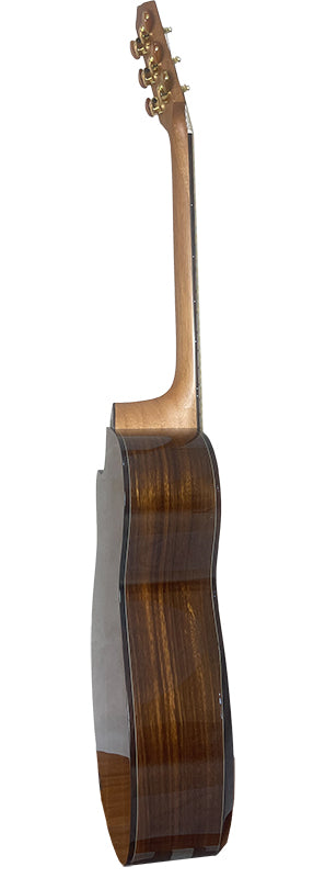 T75GAc Solid Silkwood Grand Auditorium with Ebony Arm Bevel and Red Cedar Top