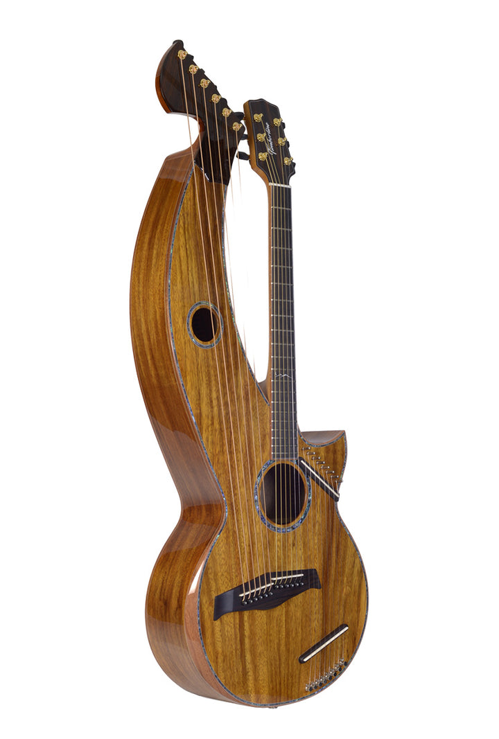 T80/20HGc Premium 100% Solid Sungai body with Silkwood top. A 20 String Full Sized Auditorium harp guitar with Maccssar ebony arm bevel, fretboard and bridge.