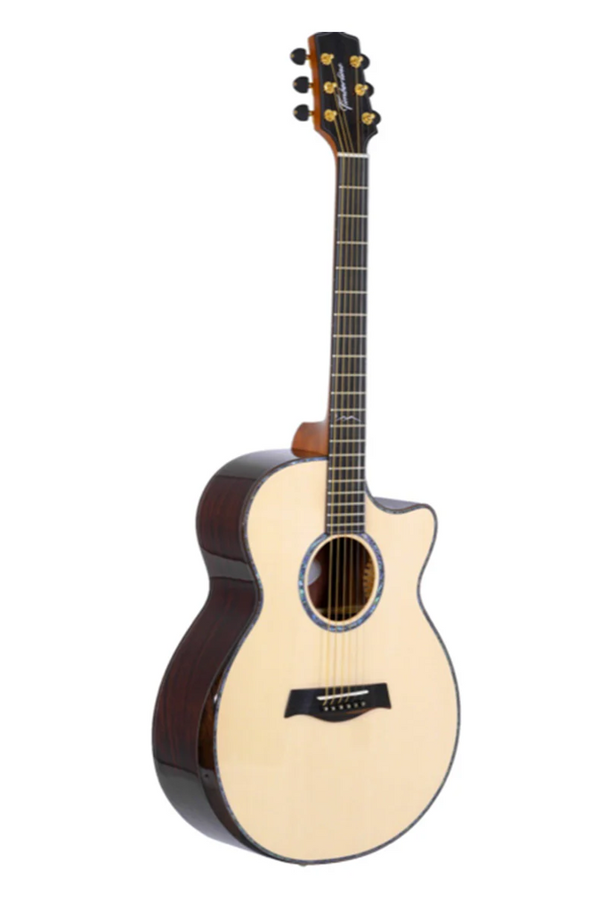 T80Ac Solid Rosewood Auditorium with Macassar Ebony Arm T80Ac Solid Rosewood Auditorium with Macassar Ebony Arm